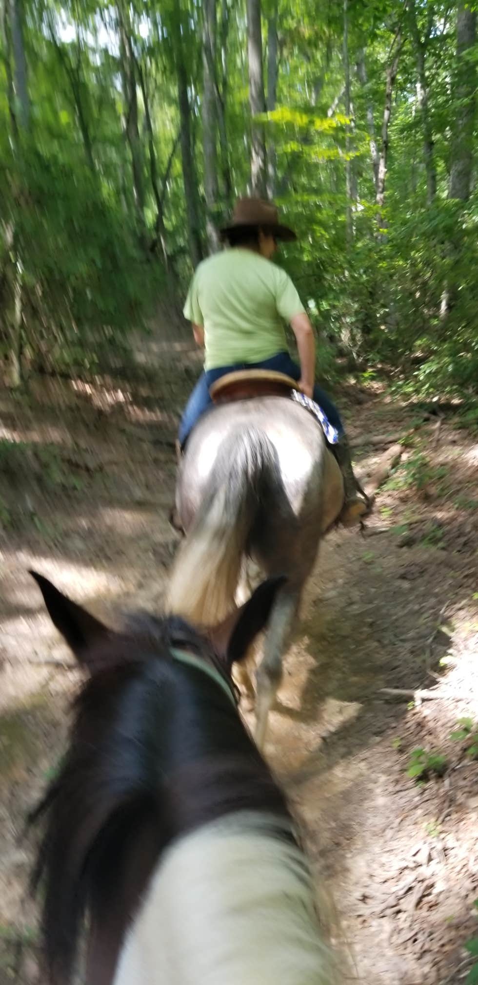 Ellen  S.'s photo of camping with a horse at Trackrock Campground & Cabins near Tusquitee National Forest