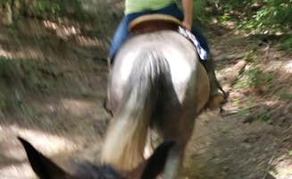 Ellen  S.'s photo of camping with a horse at Trackrock Campground & Cabins near Marble, NC