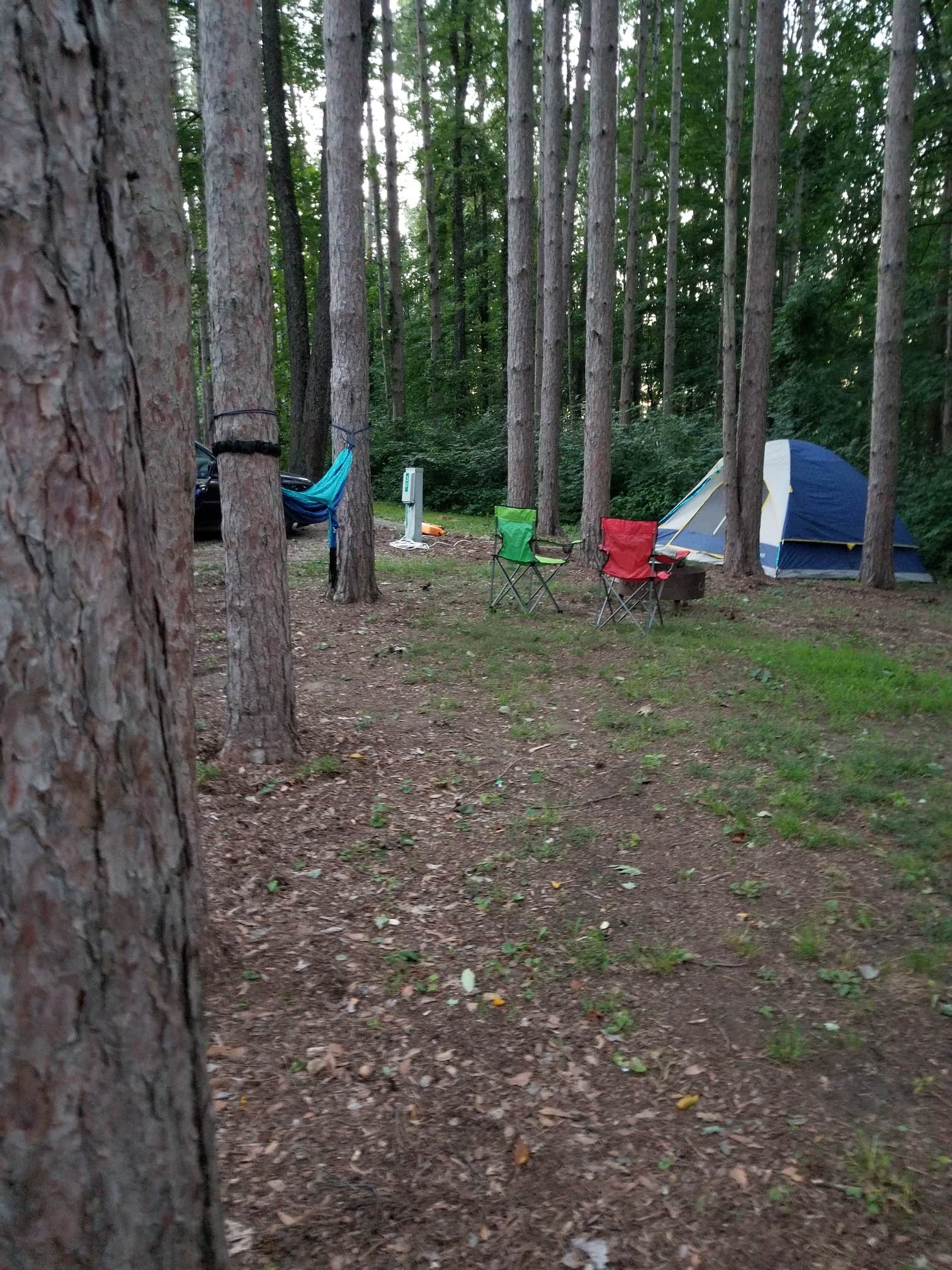 Sarah G.'s photo at Mt Gilead State Park Campground in Ohio