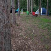 Review photo of Mt Gilead State Park Campground by Sarah G., August 18, 2018
