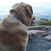 Review photo of Blackwoods Campground — Acadia National Park by Kim T., August 18, 2018