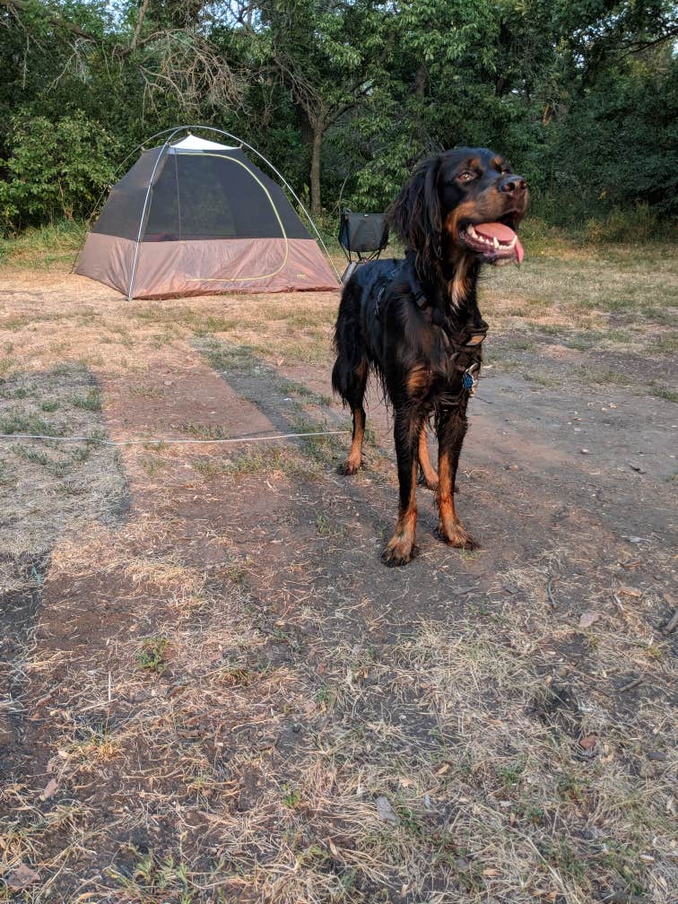 leah A.'s photo of camping with pets at Grahams Island State Park Campground in North Dakota