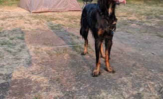 leah A.'s photo of camping with pets at Grahams Island State Park Campground in North Dakota