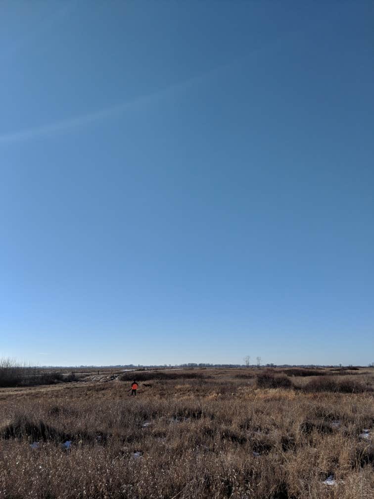 Buffalo River State Park Campground Glyndon, MN