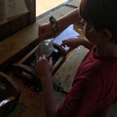 Review photo of Fall Creek Falls State Park Campground by Alicia B., July 31, 2016