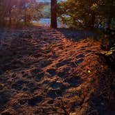 Review photo of Nordhouse Dunes Wilderness by Brittny B., August 19, 2018