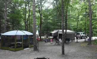 Lisa B.'s photo at Lake Michigan Recreation Area near Manistee, MI