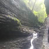 Review photo of Watkins Glen State Park Campground by Jess W., August 19, 2018