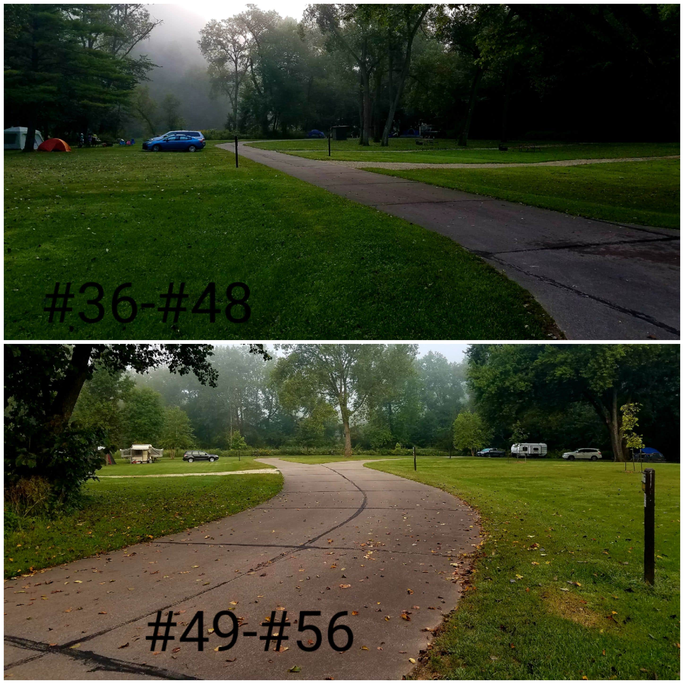 Camper submitted image from Big Paint Campground — Yellow River State Forest - 2