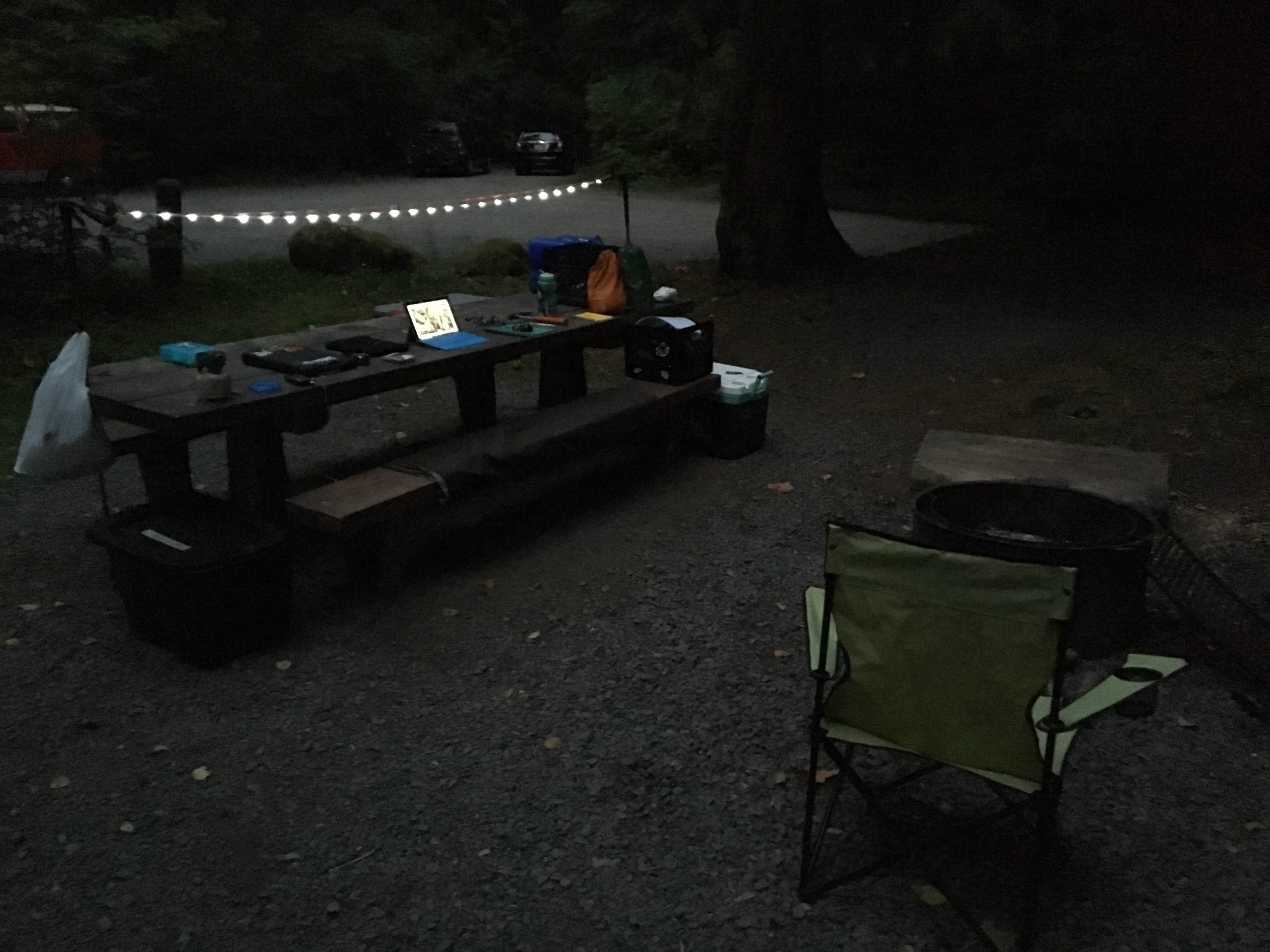 Zach A.'s photo at Lyre River Campground near Joyce, WA