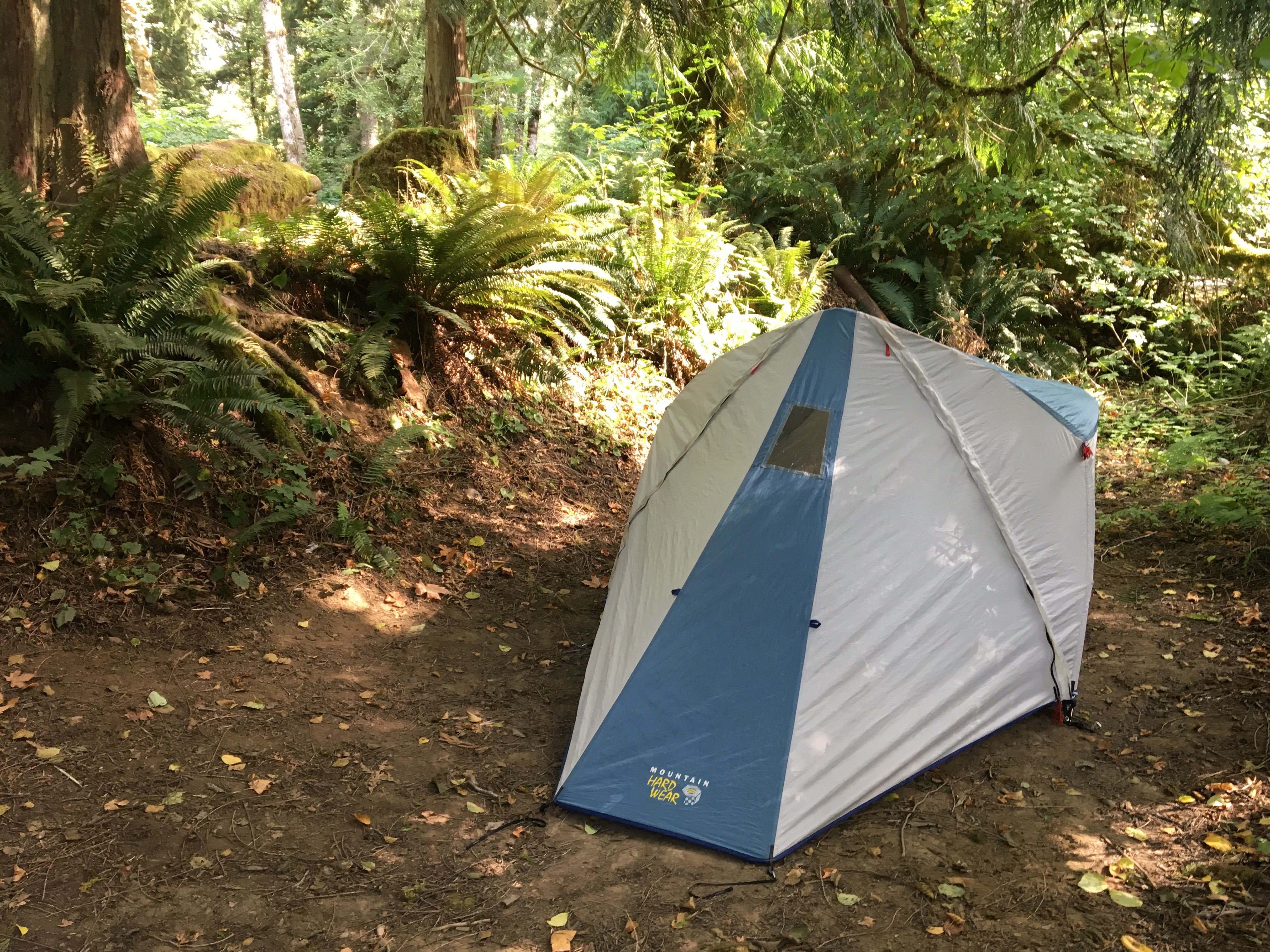 Camper submitted image from Lyre River Campground - 5