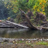 Review photo of Lyre River Campground by Zach A., August 19, 2018