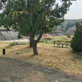 Review photo of Makoshika State Park Campground by Janet R., August 19, 2018
