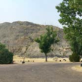 Review photo of Makoshika State Park Campground by Janet R., August 19, 2018