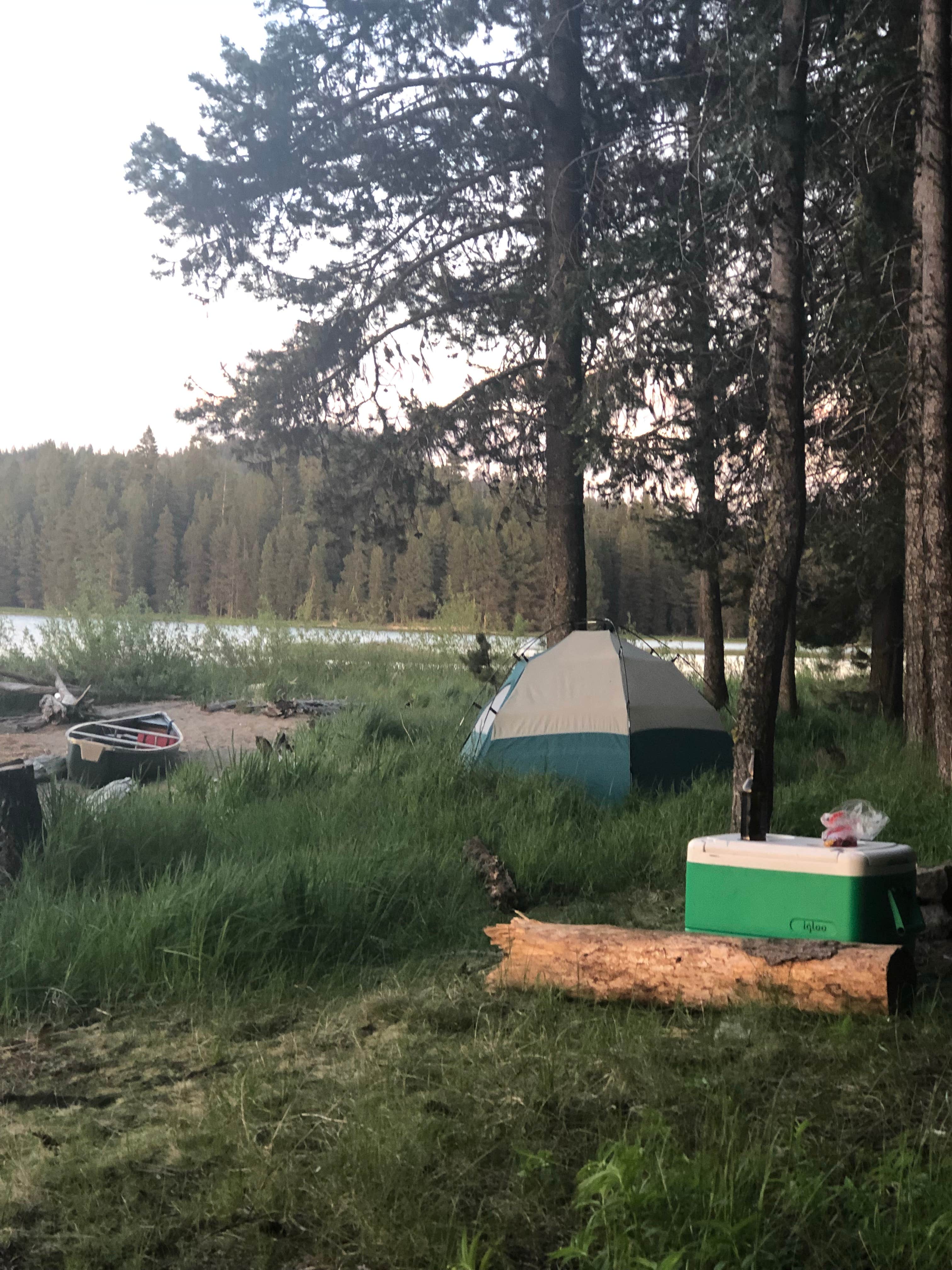 Camper submitted image from Crane Prairie Campground - 4