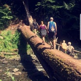Review photo of Staircase Campground - Olympic National Park by Brook Jorgensen ಌ., August 19, 2018