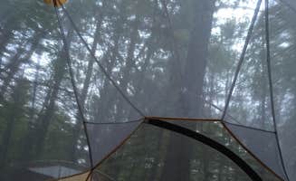 Hannah O.'s photo at Wompatuck State Park Campground near Peabody, MA
