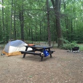 Review photo of Wompatuck State Park Campground by Hannah O., August 19, 2018