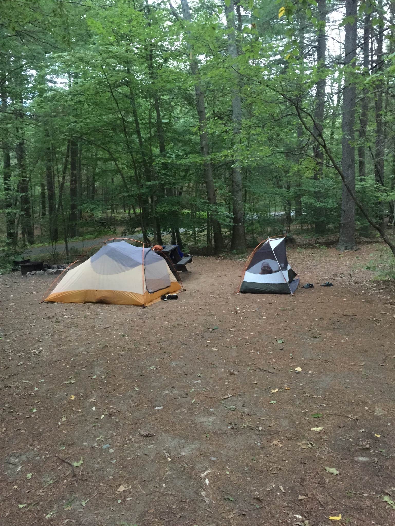 Hannah O.'s photo at Wompatuck State Park Campground near Weston, MA