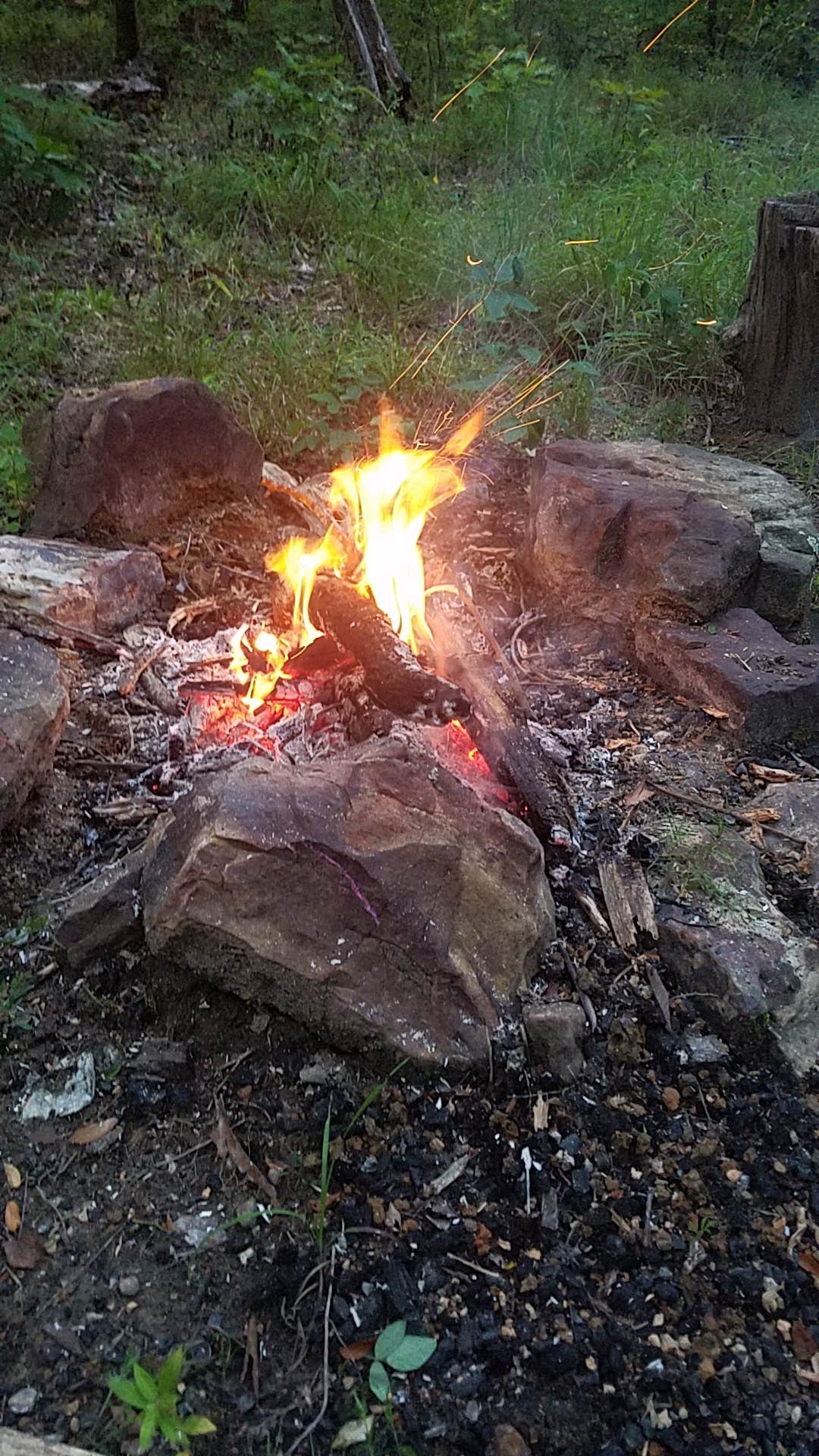 Brittany P.'s photo at White Rock Mountain Recreation Area near Chester, AR