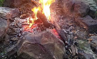 Brittany P.'s photo at White Rock Mountain Recreation Area near St. Paul, AR