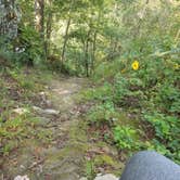 Review photo of White Rock Mountain Recreation Area by Brittany P., August 19, 2018