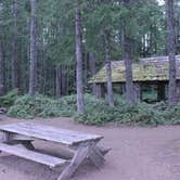 Review photo of Skokomish Park at Lake Cushman by Brook Jorgensen ಌ., August 19, 2018