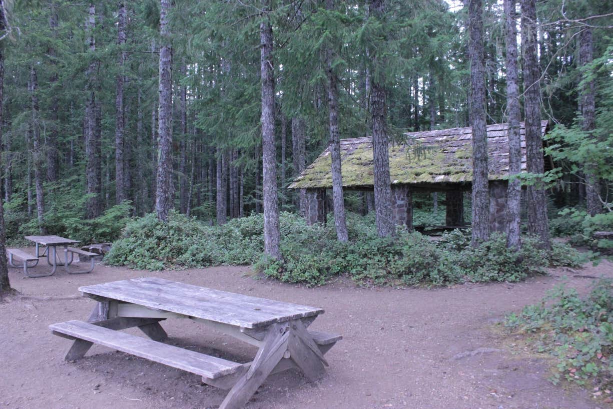 Camper submitted image from Skokomish Park at Lake Cushman - 2