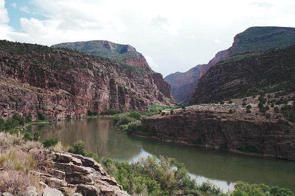 Camper submitted image from Gates Of Lodore Campground — Dinosaur National Monument - 2