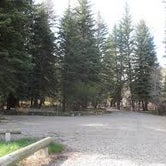Review photo of Mueller State Park Campground by Cj C., July 31, 2016