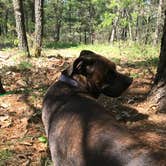 Review photo of Kneff Lake Campground — Huron Manistee National Forests by Jacqueline  S., August 19, 2018