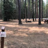 Review photo of Jack Creek Campground by Gayle  M., August 19, 2018