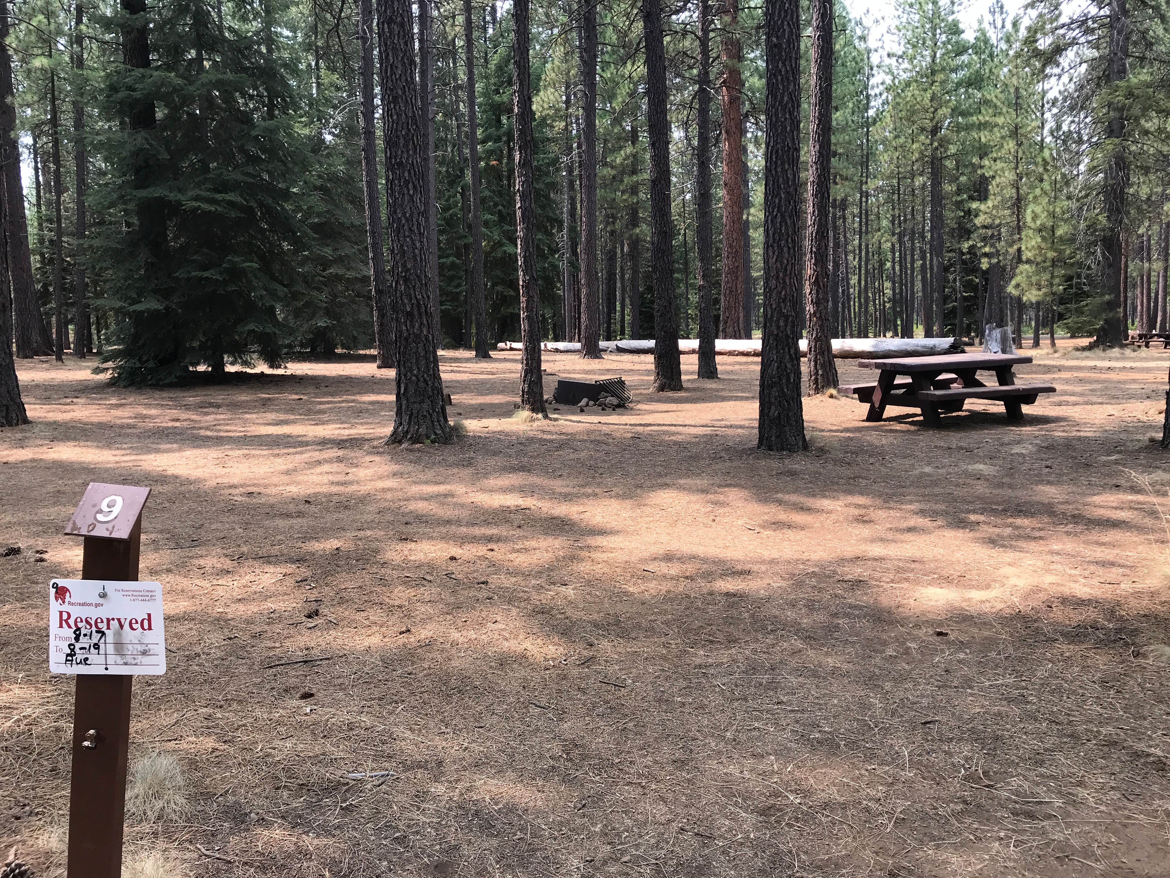 Big campsites!