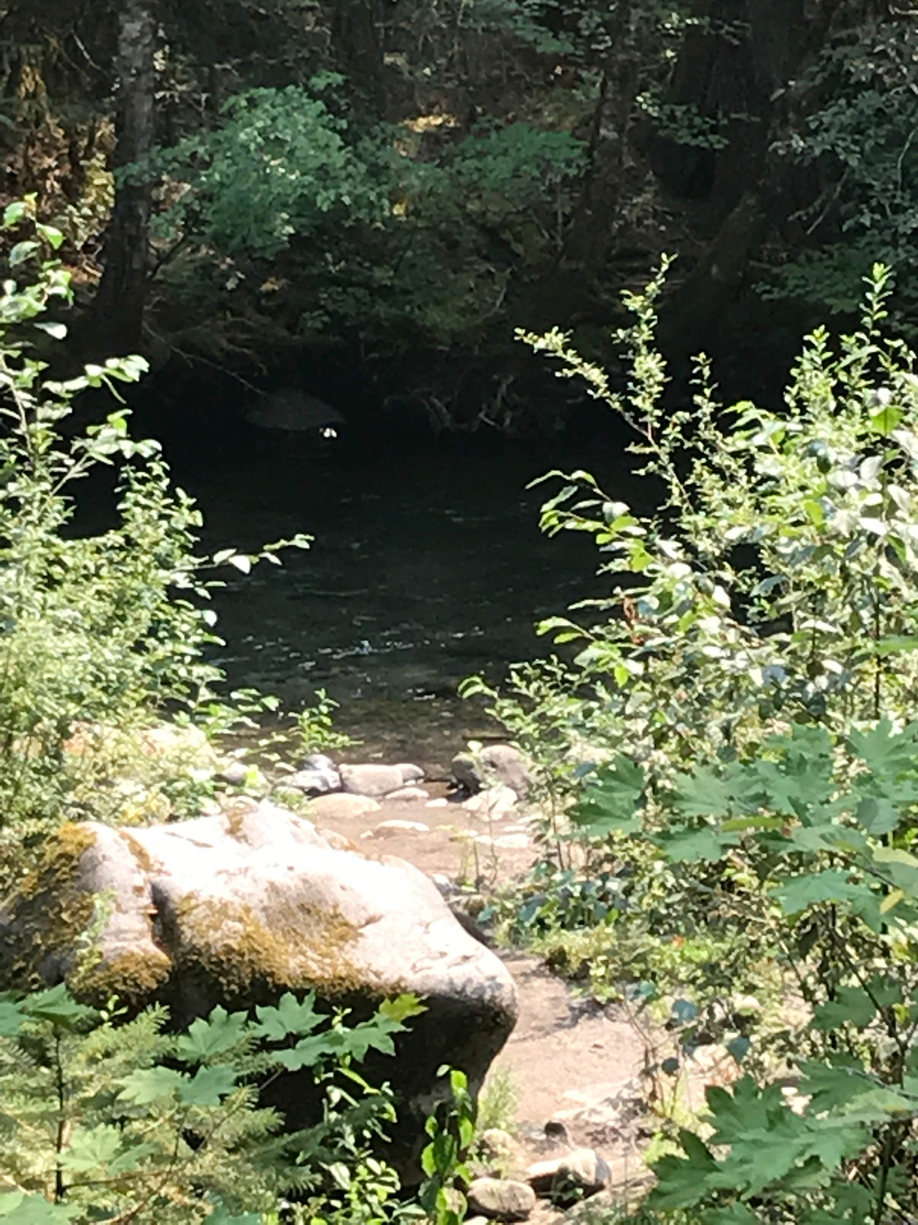 Camper-submitted photo at Breitenbush Campground near Idanha, OR