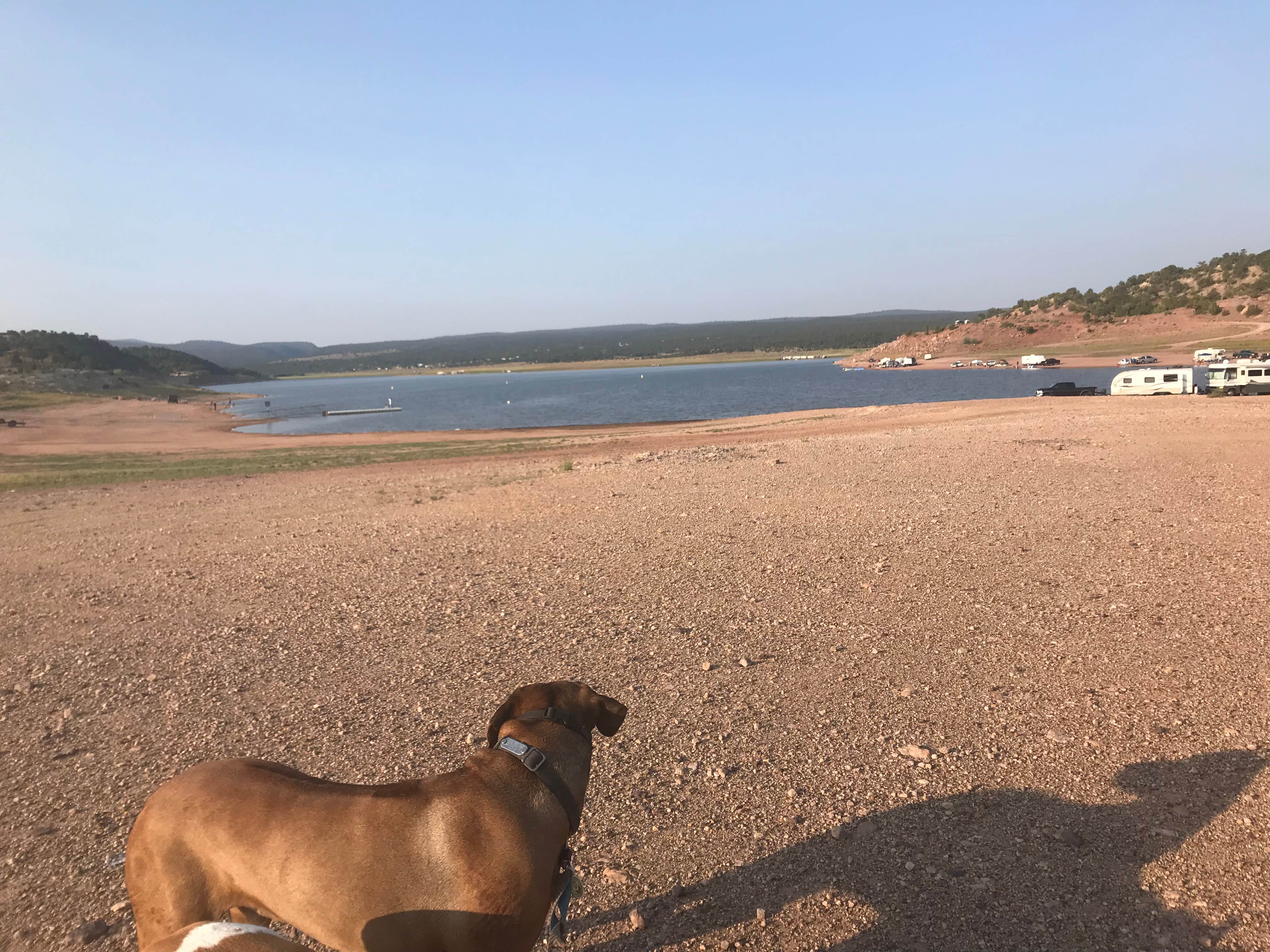 Camper submitted image from Bluewater Lake State Park Campground - 1