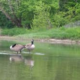 Review photo of Shades State Park Campground by Mike V., July 30, 2016