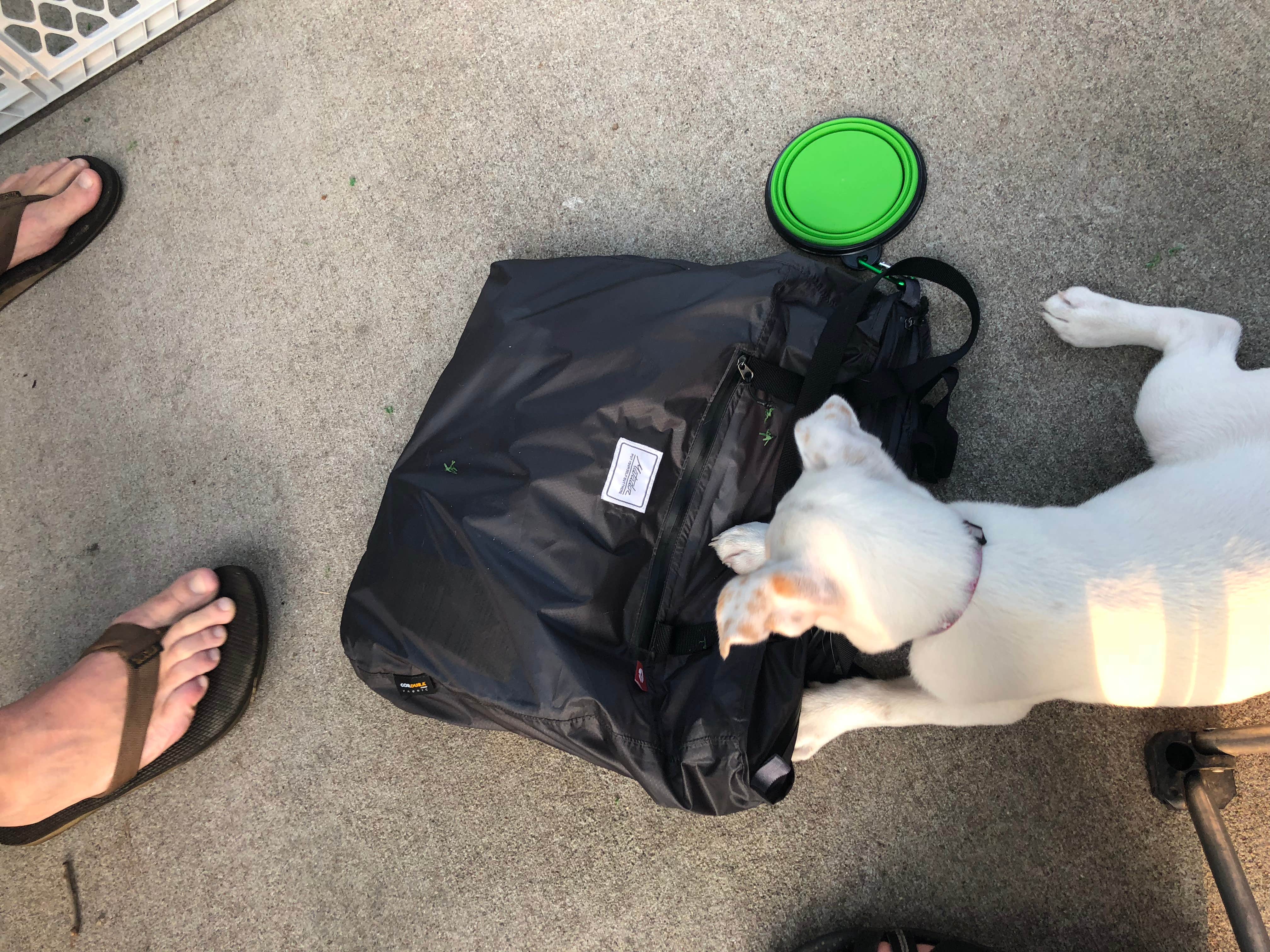 Camper-submitted photo at Timber Lake Resort near Lena, IL