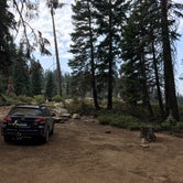 Review photo of The Needles Lookout Trail Primitive Campsites by Leslie R., August 19, 2018