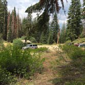 Review photo of The Needles Lookout Trail Primitive Campsites by Leslie R., August 19, 2018