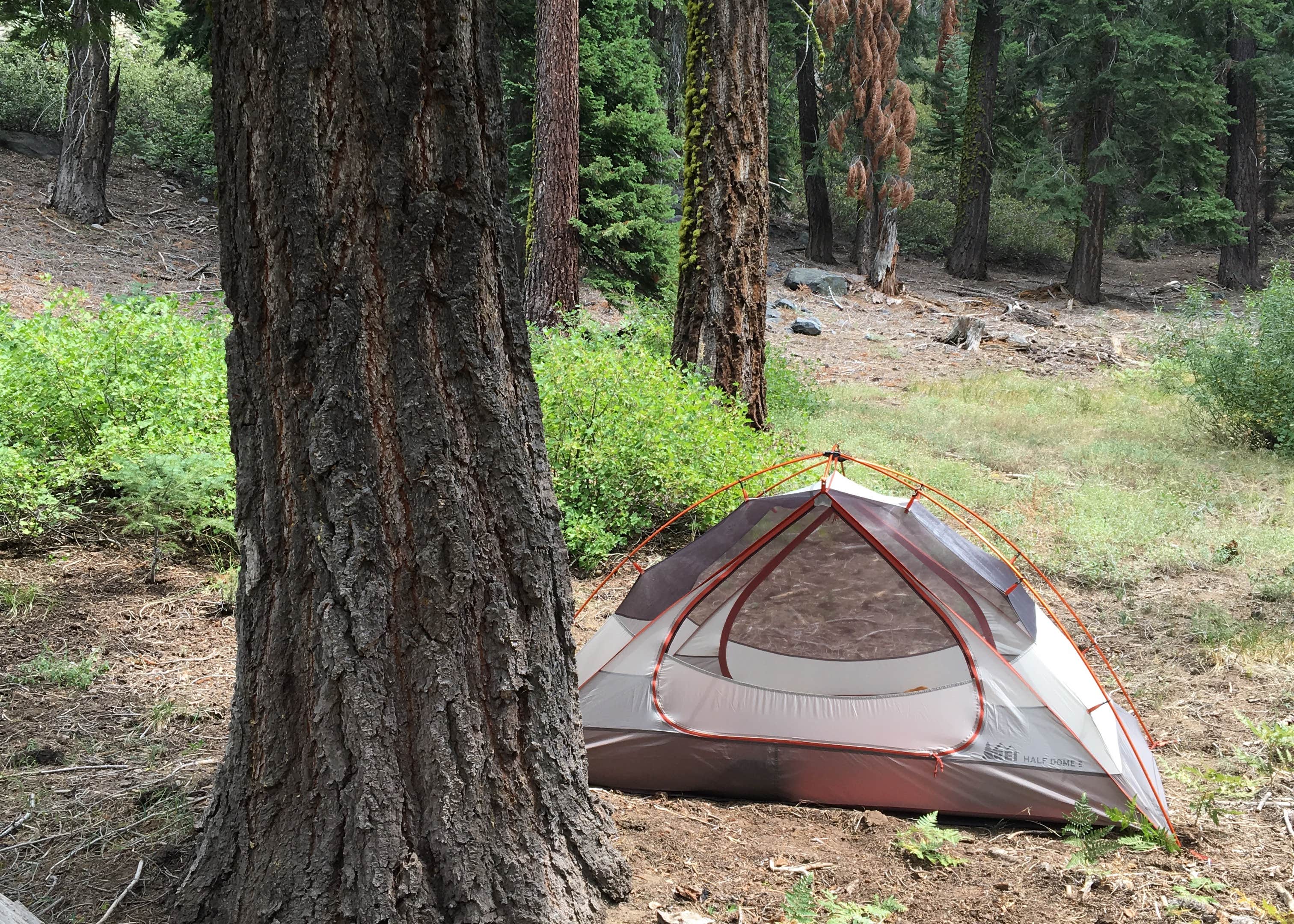 The Needles Lookout Trail Primitive Campsites Camping