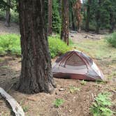 Review photo of The Needles Lookout Trail Primitive Campsites by Leslie R., August 19, 2018