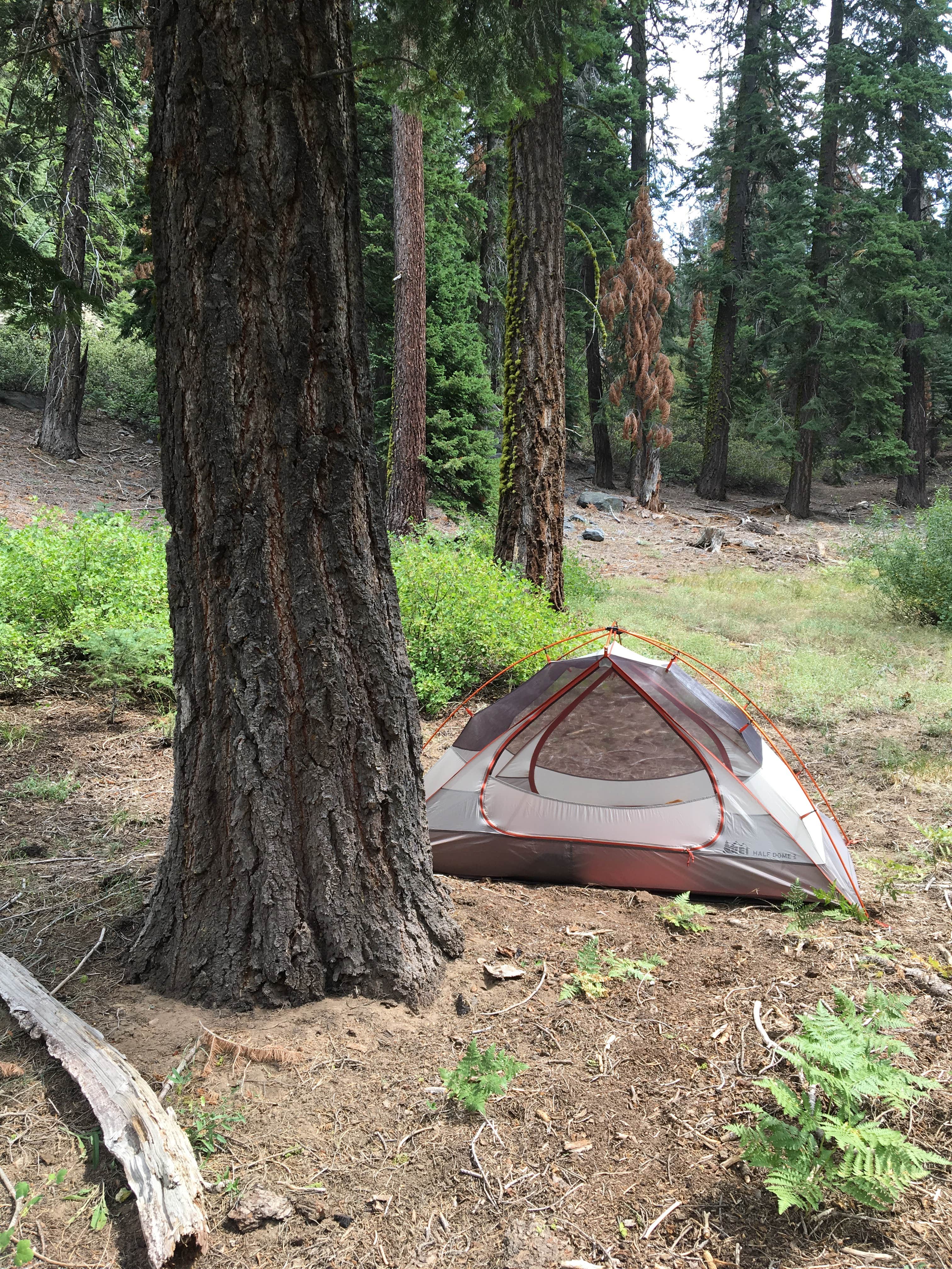 Camper submitted image from The Needles Lookout Trail Primitive Campsites - 1