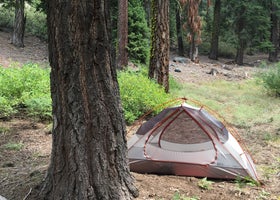 The Needles Lookout Trail Primitive Campsites