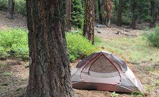 Les R.'s photo at The Needles Lookout Trail Primitive Campsites near Camp Nelson, CA