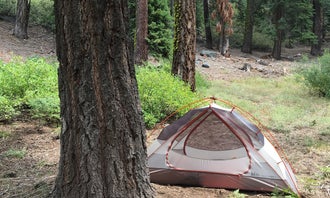The Needles Lookout Trail Primitive Campsites