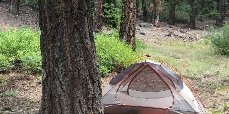 Camper submitted image from The Needles Lookout Trail Primitive Campsites