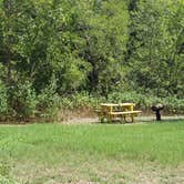 Review photo of Falls on the Brazos Park by Brittany S., August 19, 2018