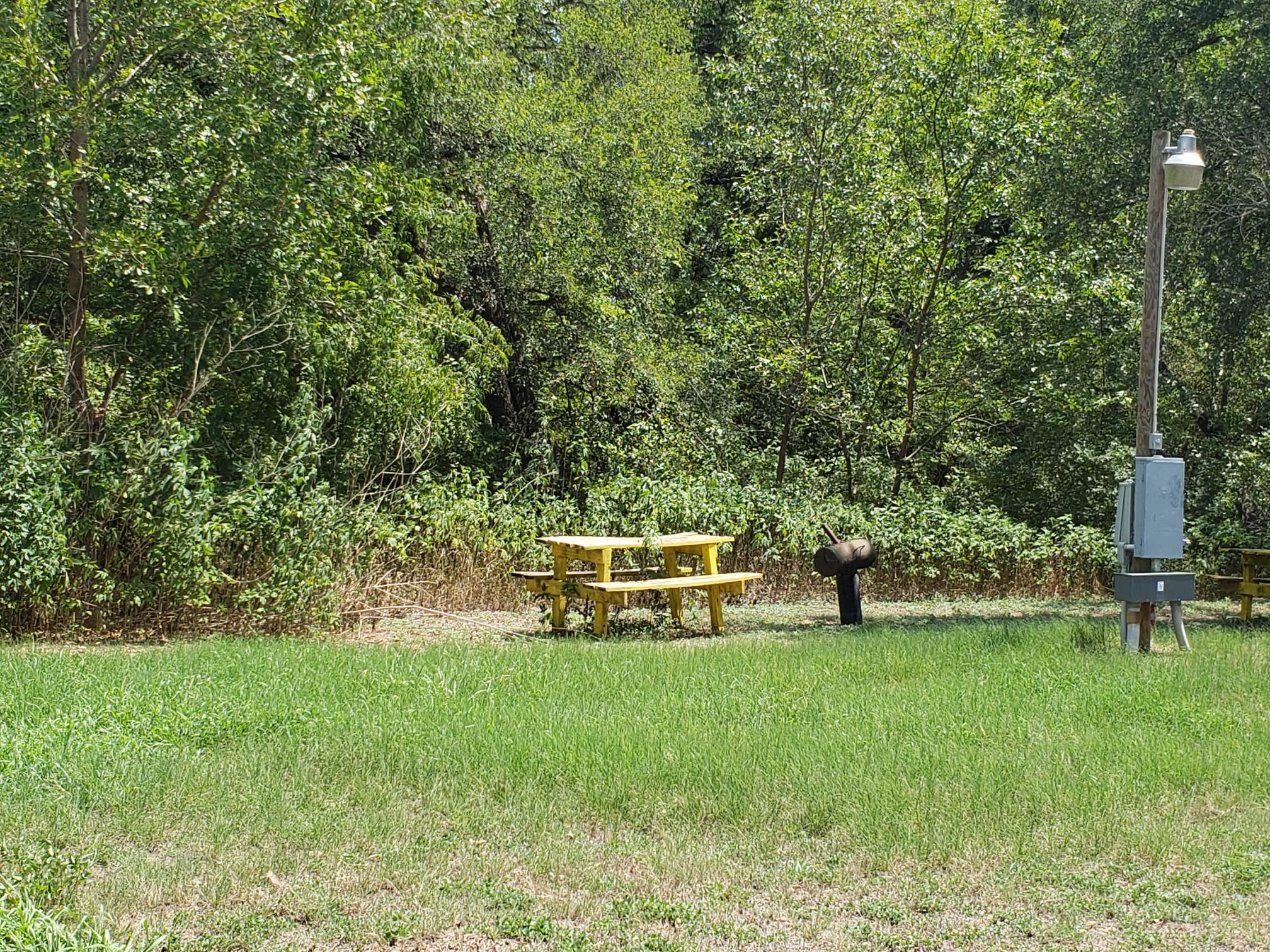 Camper submitted image from Falls on the Brazos Park - 2