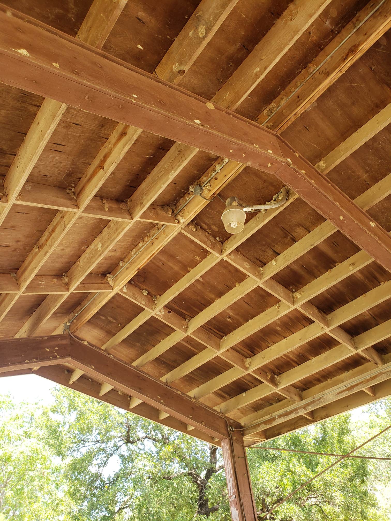 Camper-submitted photo at Falls on the Brazos Park near Marlin, TX