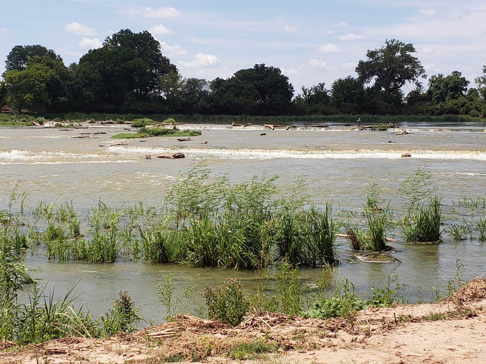 Camper submitted image from Falls on the Brazos Park - 3